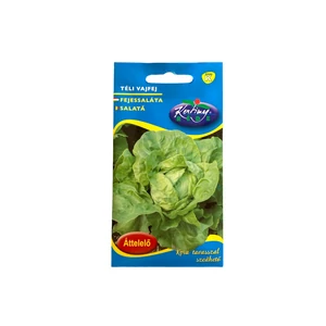 Saláta - Téli vajfej 2,5g