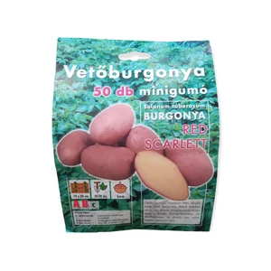 Vetőburgonya - Red Scarlett 50 db