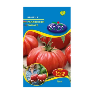 Paradicsom - Brutus 10 szem