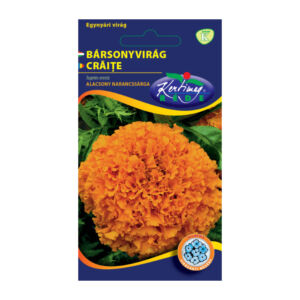 Bársonyvirág (Büdöske) - Nagyvirágú alacsony narancssárga 1 g