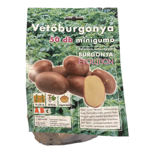 Vetőburgonya - Evolution 50 db