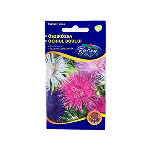 Őszirózsa - Tűszirmú színkeverék 1 g