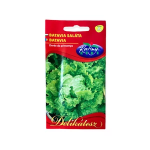 Batávia saláta 2 g