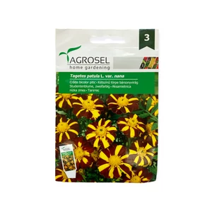 Bársonyvirág (Büdöske) - Kétszínű törpe 1 g