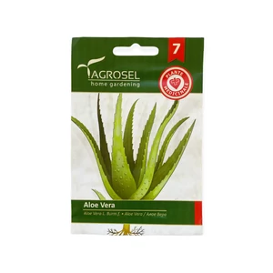 Aloe Vera 8 szem