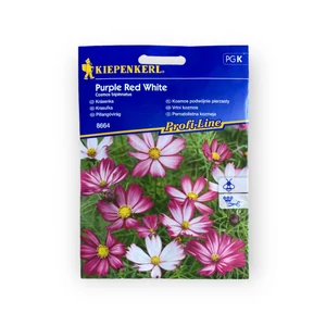 Pillangóvirág - Purple Red White mix (Cosmos bipinnatus)