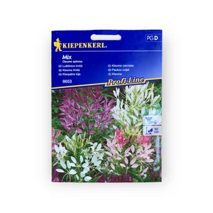 Kleopátra tűje színkeverék (Cleome spinosa)