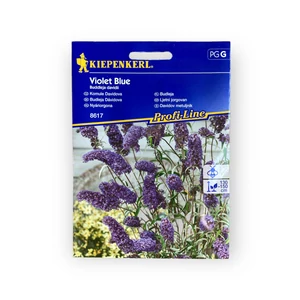 Nyáriorgona - Violet Blue (Buddleja davidii)