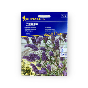 Nyáriorgona - Violet Blue (Buddleja davidii)