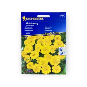 Bársonyvirág - Kisvirágú citromsárga (Tagetes patula)