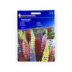 Csillagfürt mix (Lupinus polyphyllus)