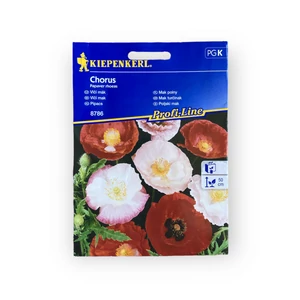 Pipacs - Chorus (Papaver rhoeas)