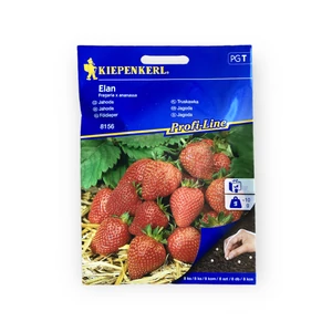 Földieper - Elan vetőmag