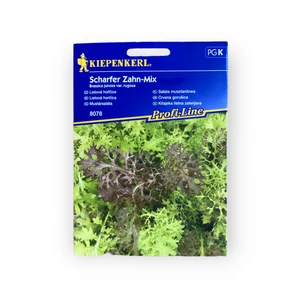 Mustársaláta - Scharfer Zahn-Mix