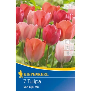 Tulipán mix - Van Eijk 7 db (Ősz)