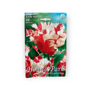 Papagáj tulipán - Estella Rijnveld 10 db (Ősz)