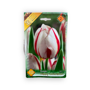 Triump tulipán - Happy Generation 10 db (Ősz)