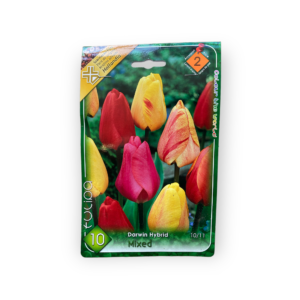 Darwin hibrid tulipán - Mix 10 db (Ősz)