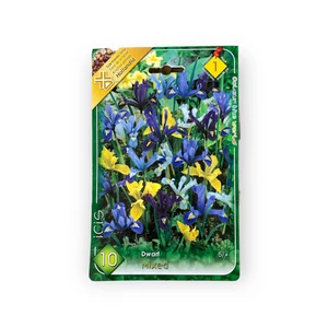 Sziklakerti írisz - Mix 10 db (Ősz)