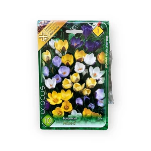 Botanikai krókusz - Mix 10 db (Ősz)