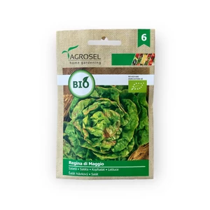 BIO Saláta - Regina di Maggio 2,5 g