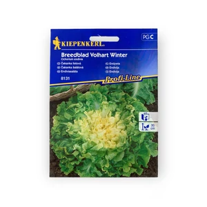 Endíviasaláta - Breedblad Volhart Winter 