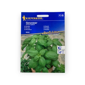 Bazsalikom - Genoveser