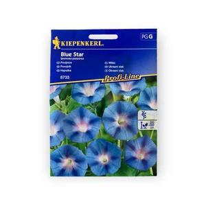 Hajnalka - Blue Star 