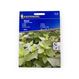 Koreai menta - Seoul