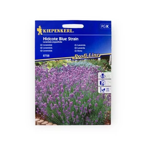 Levendula - Hidcote Blue Strain (Lavandula angustifolia)