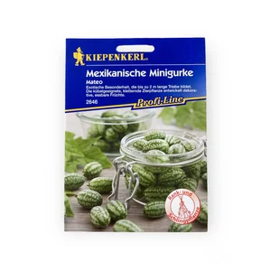 Mexikói miniuborka - Mateo