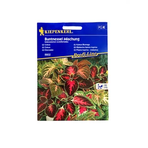 Díszcsalán vetőmag (Kiepenkerl)