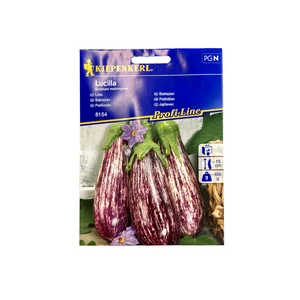 Padlizsán - Lucilla F1 vetőmag (Kiepenkerl)