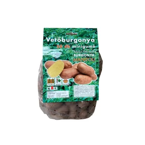 Vetőburgonya - Manitou 50 db