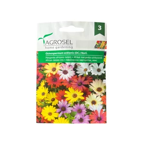 Afrikai margaréta - színkeverék 0,5 g