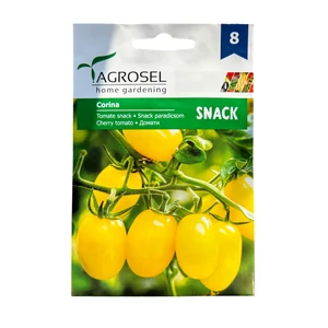 Snack paradicsom - Corina 35szem