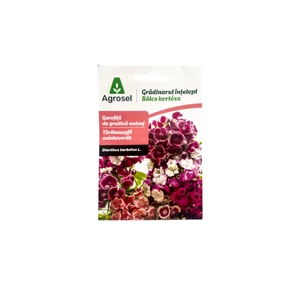 Törökszegfű - alacsony színkeverék 0,7 g