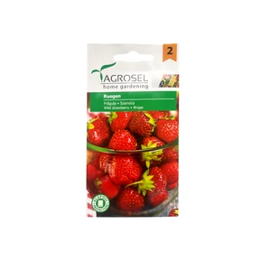 Szamóca - Ruegen Rügen 0,1 g