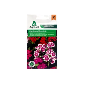 Kínai szegfű szinkeverék - teltvirágú 1g