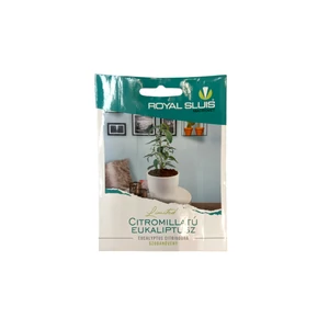 Szobanövény - Citromillatú eukaliptusz 10 szem