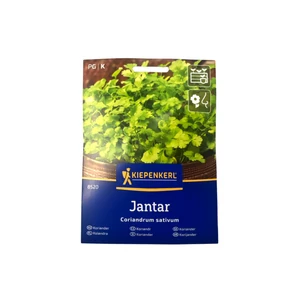 Koriander - Levélkoriander (250 növényhez)