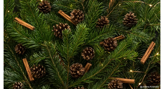 Környezetbarát karácsony: Komposztálható dekorációk és természetes csomagolás