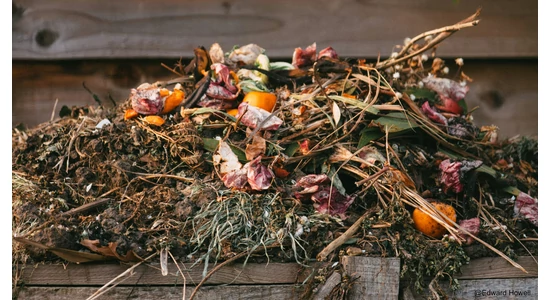 Komposztálási tanácsok: Őszi levélkupacok és télen érlelődő csodák!