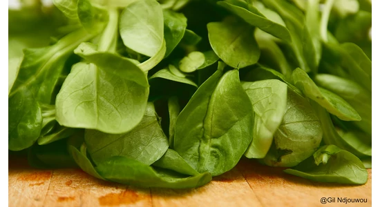 Téli veteményezés: Mi termeszthető még novemberben?