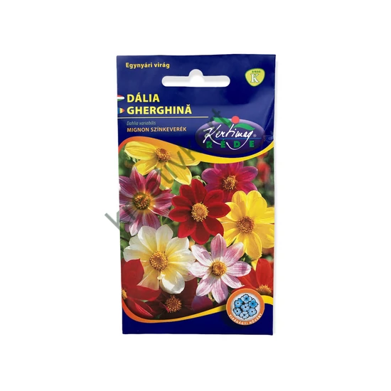 Dália egyszerű virágú színkeverék 1 g