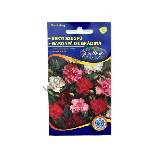 Kerti szegfű - Színkeverék 0,25 g