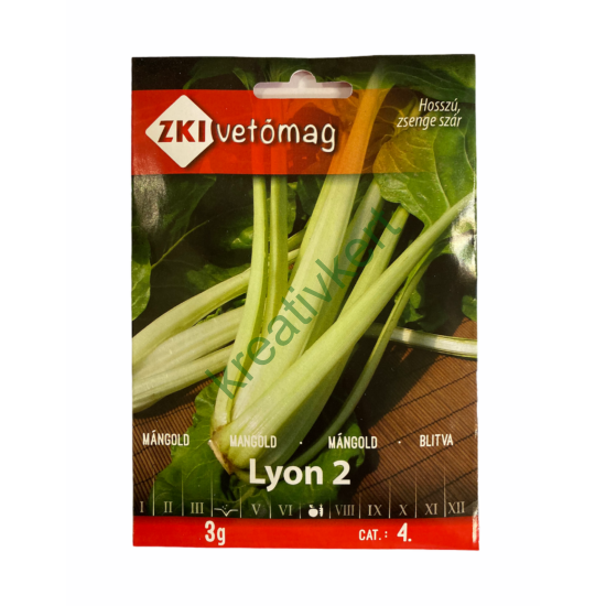 Mángold - Lyon2 3 g