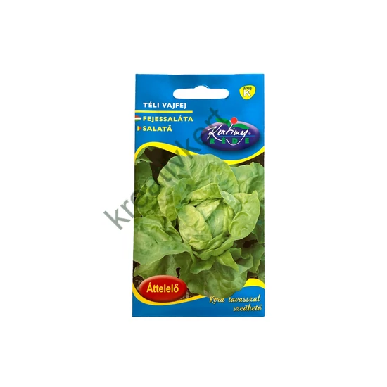 Saláta - Téli vajfej 2,5g