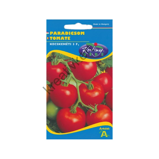 Paradicsom - Kecskeméti K3 20szem