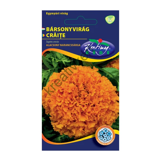 Bársonyvirág (Büdöske) - Nagyvirágú alacsony narancssárga 1 g